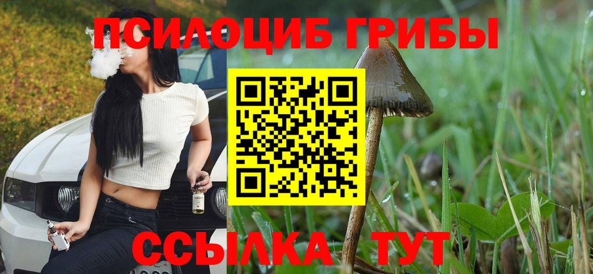 Зерноград  Псилоцибиновые грибы Psilocybine cubensis  Вход с VPN 